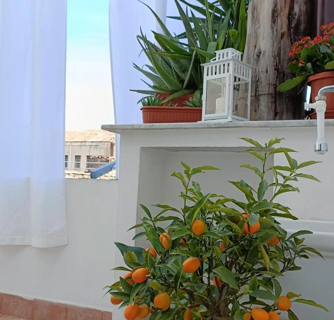 Nicuzzaduci Home Catania
